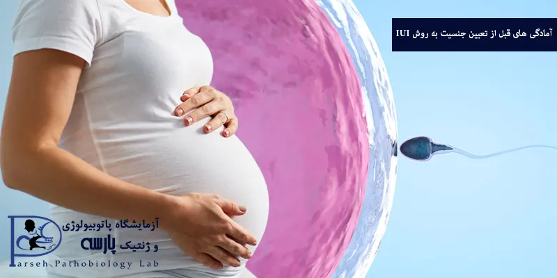 آمادگی-های-قبل-از-تعیین-جنسیت-به-روش-IUI