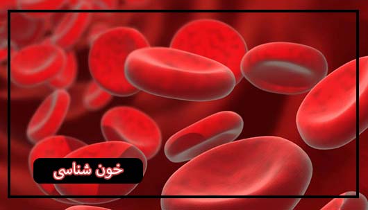خون شناسی