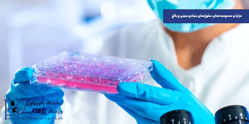 مزایا-و-محدودیتهای-سلولهای-بنیادی-جنینی-و-بالغ