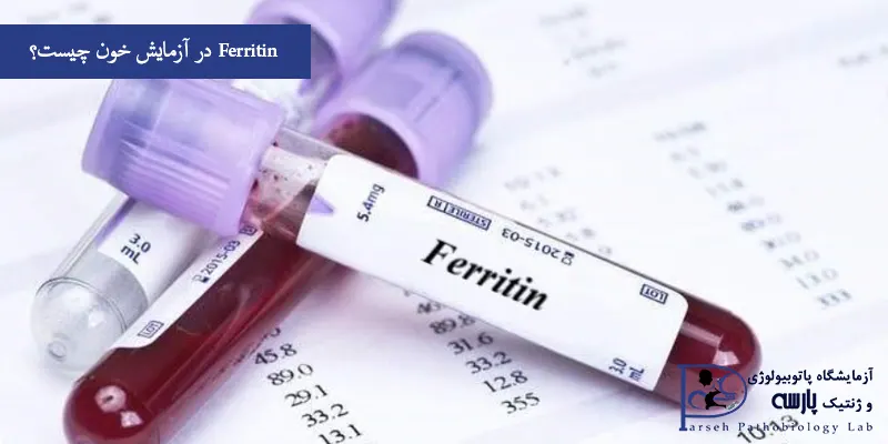 Ferritin-در-آزمایش-خون-چیست؟