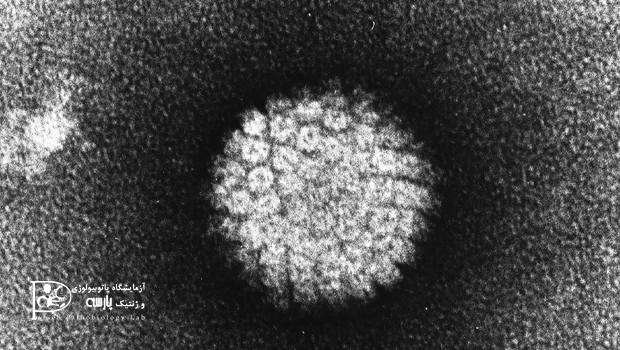 آزمایش ویروس HPV