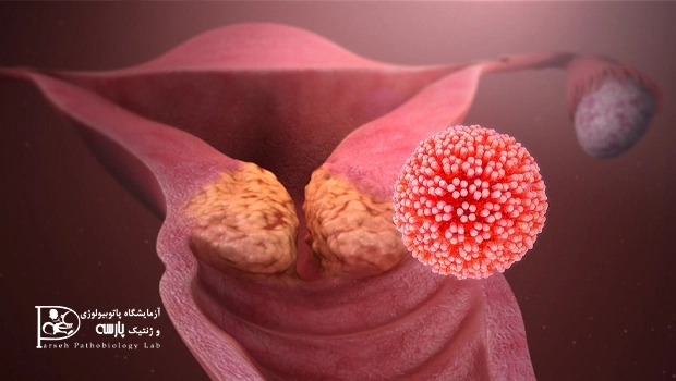 آزمایش ویروس HPV