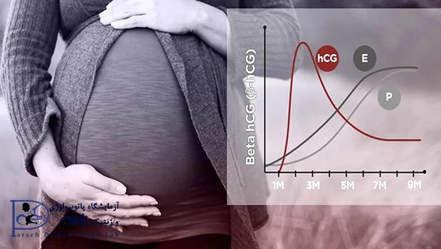 آزمایش Beta-hCG