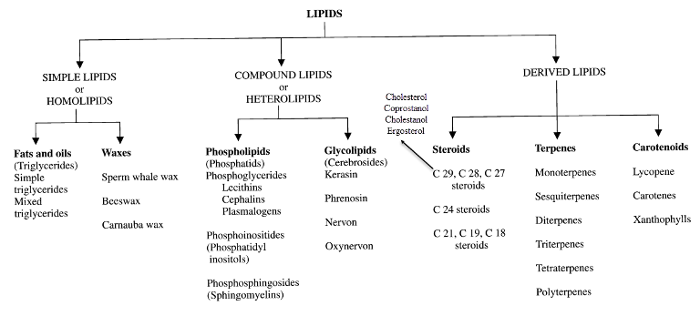 Classification of Lipids چربیها