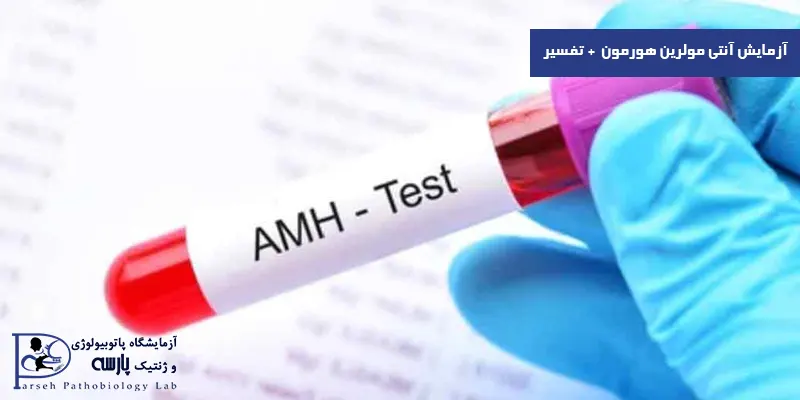 آزمایش-آنتی-مولرین-هورمون-تفسیر