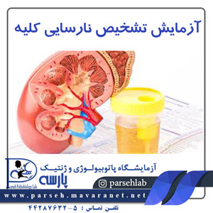 آزمایش تشخیص نارسایی کلیه