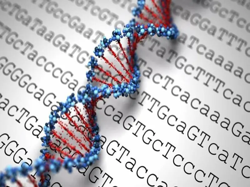 آزمایش ژنتیک قبل از ازدواج