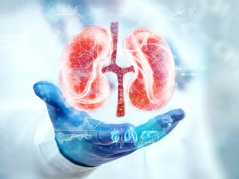 آزمایشات کلیه