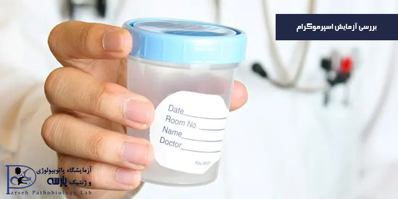 بررسی-آزمایش-اسپرموگرام