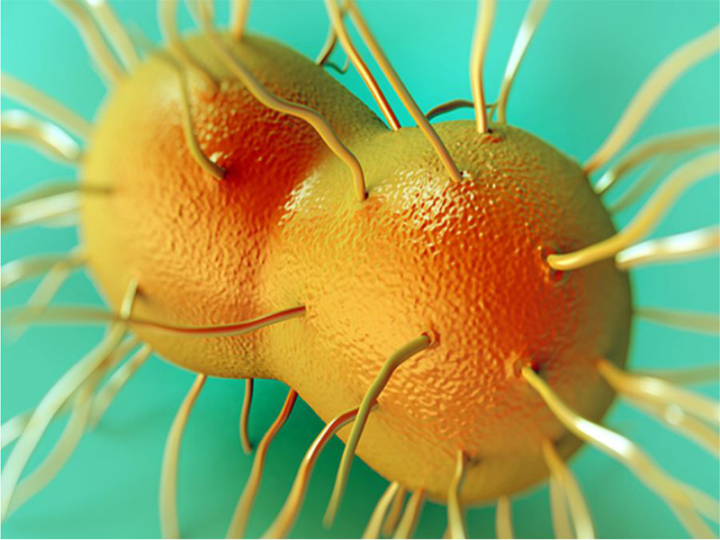 بیماری سوزاک چیست؟