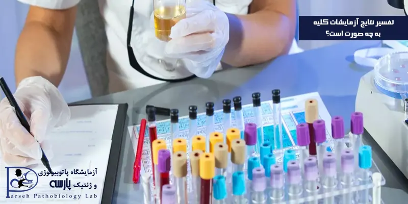 تفسیر-نتایج-آزمایشات-کلیه-به-چه-صورت-است؟