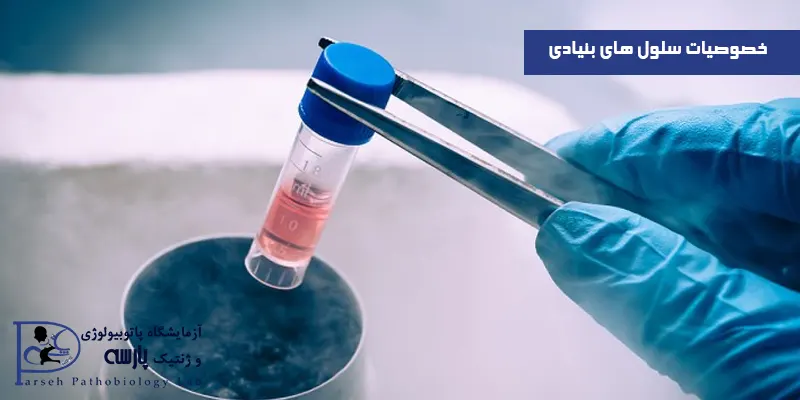 خصوصیات-سلول-های-بنیادی