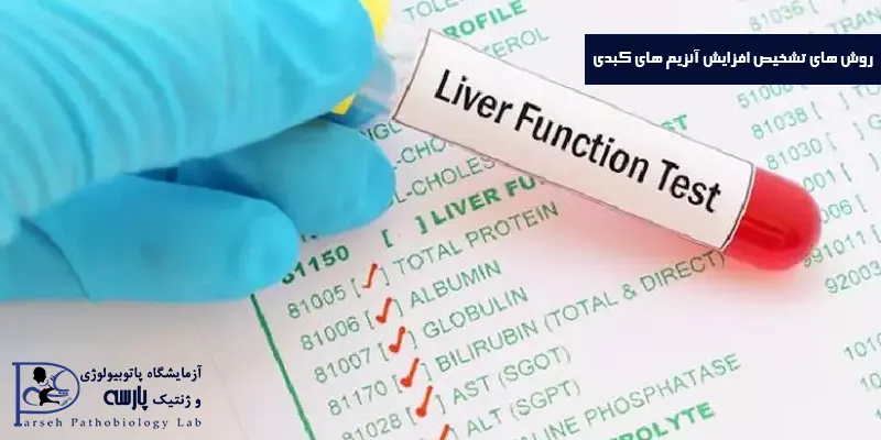 روش-های-تشخیص-افزایش-آنزیم-های-کبدی