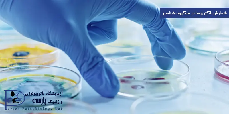 شمارش-باکتری-ها-در-میکروب-شناسی