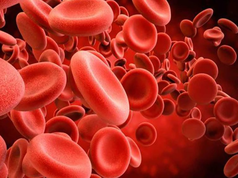 غلظت خون بالا - آزمایشگاه پارسه