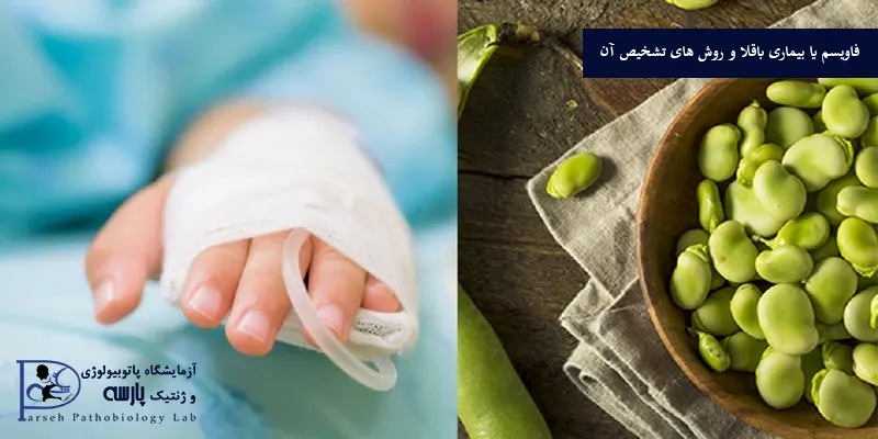 فاویسم-یا-بیماری-باقلا-و-روش-های-تشخیص-آن