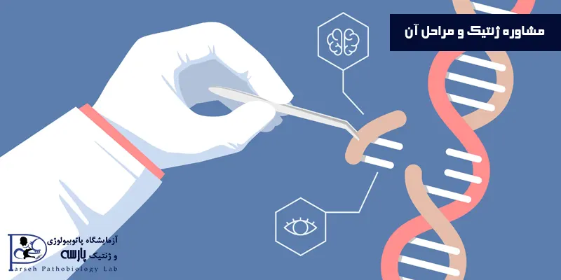 مشاوره-ژنتیک-و-مراحل-آن