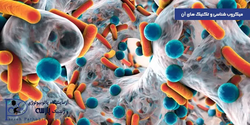 میکروب-شناسی-و-تکنیک-های-آن