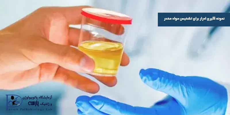 نمونه-گيری-ادرار-برای-تشخيص-مواد-مخدر
