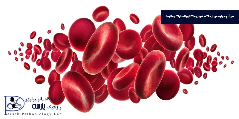 هر-آنچه-باید-درباره-کم-خونی-مگالوبلاستیک-بدانید